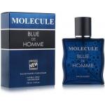  21  Molecule Blue