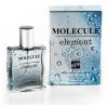  21  Molecule Element