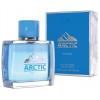 Bi-es Arctic